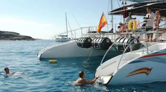 Excursion Catamaran Palma – Freebird