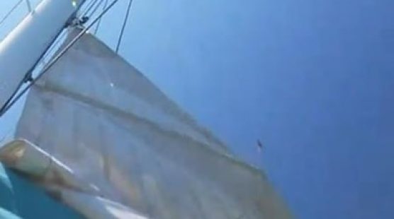Catamarán de excursión Palma de Mallorca – Freebird
