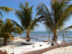 Belice_playa_con_palmeras