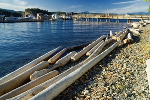 Navegar_Canada_Desolation_Sound_Rio